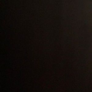 Meet your Posher, Dolores